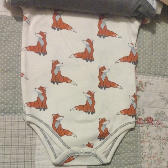 Fox Themed Organic Cotton White and Gray Baby 5 Pc Bodysuit Set - Picture 10 of 17